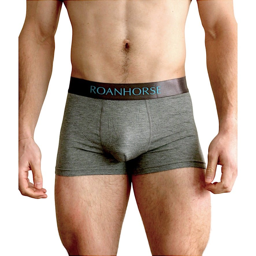 Mens bamboo underpants top