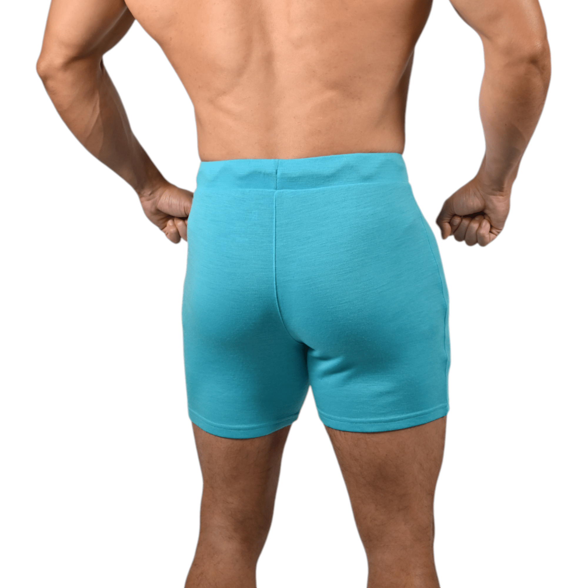 merino-wool-shorts-teal-front.jpg  

